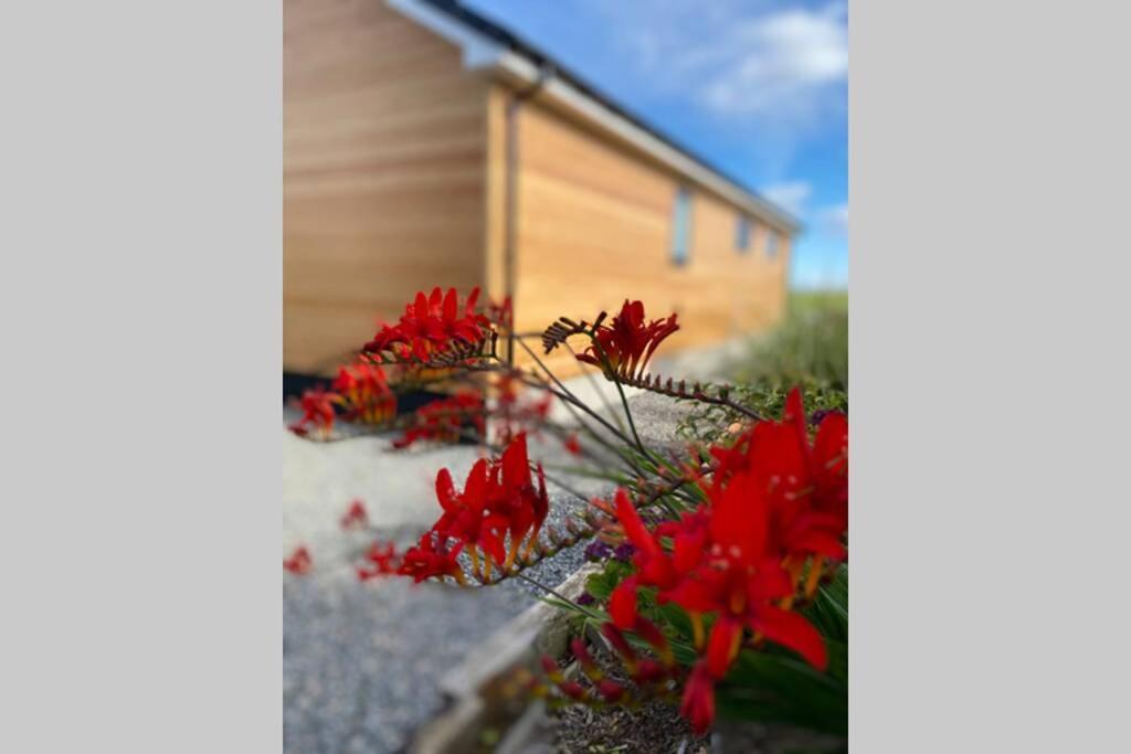 The Gallafield, Self Catering Bungalow , Stornoway Stornoway  Εξωτερικό φωτογραφία